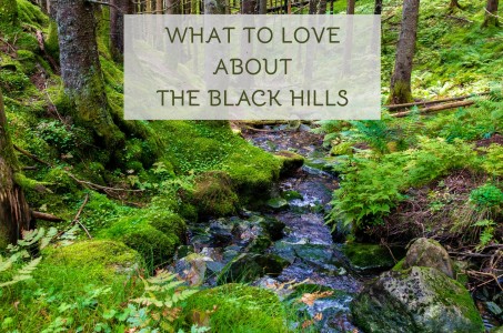 What to Love About The Black Hills
