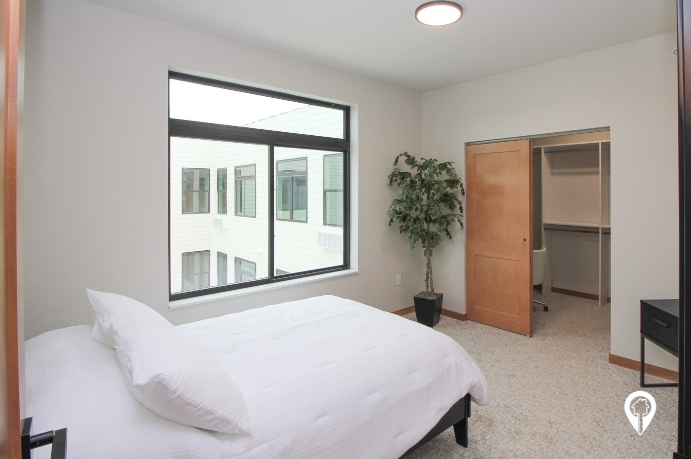 Paragon On Campanile