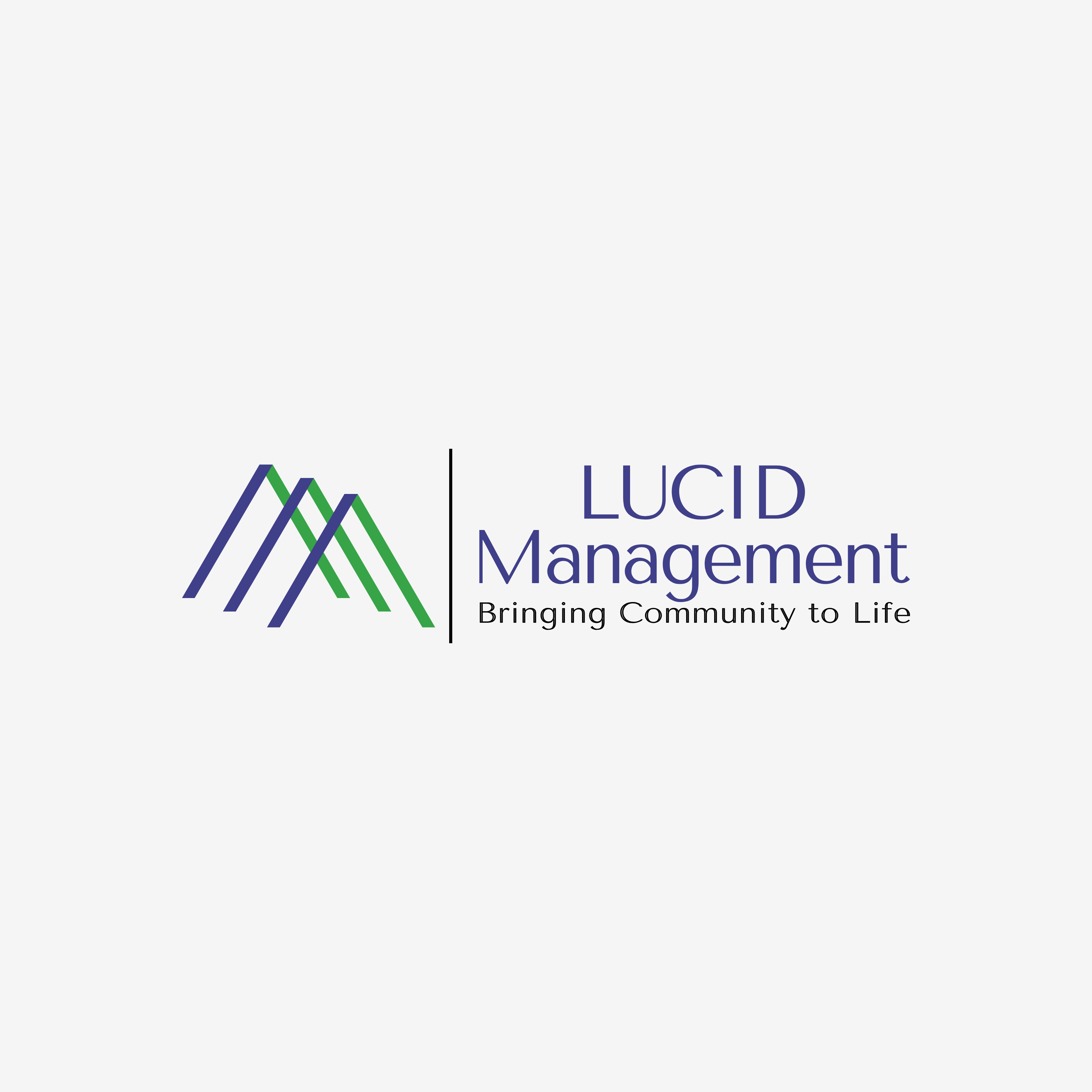 Lucid Management logo