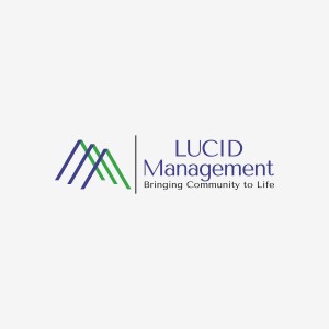 Lucid Management