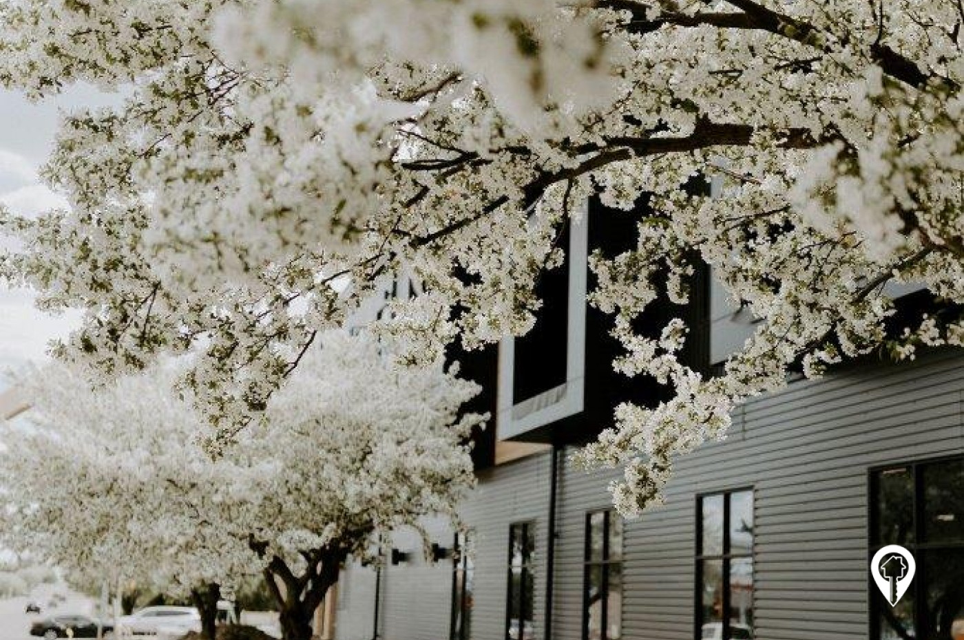 Apartments At Trails Head